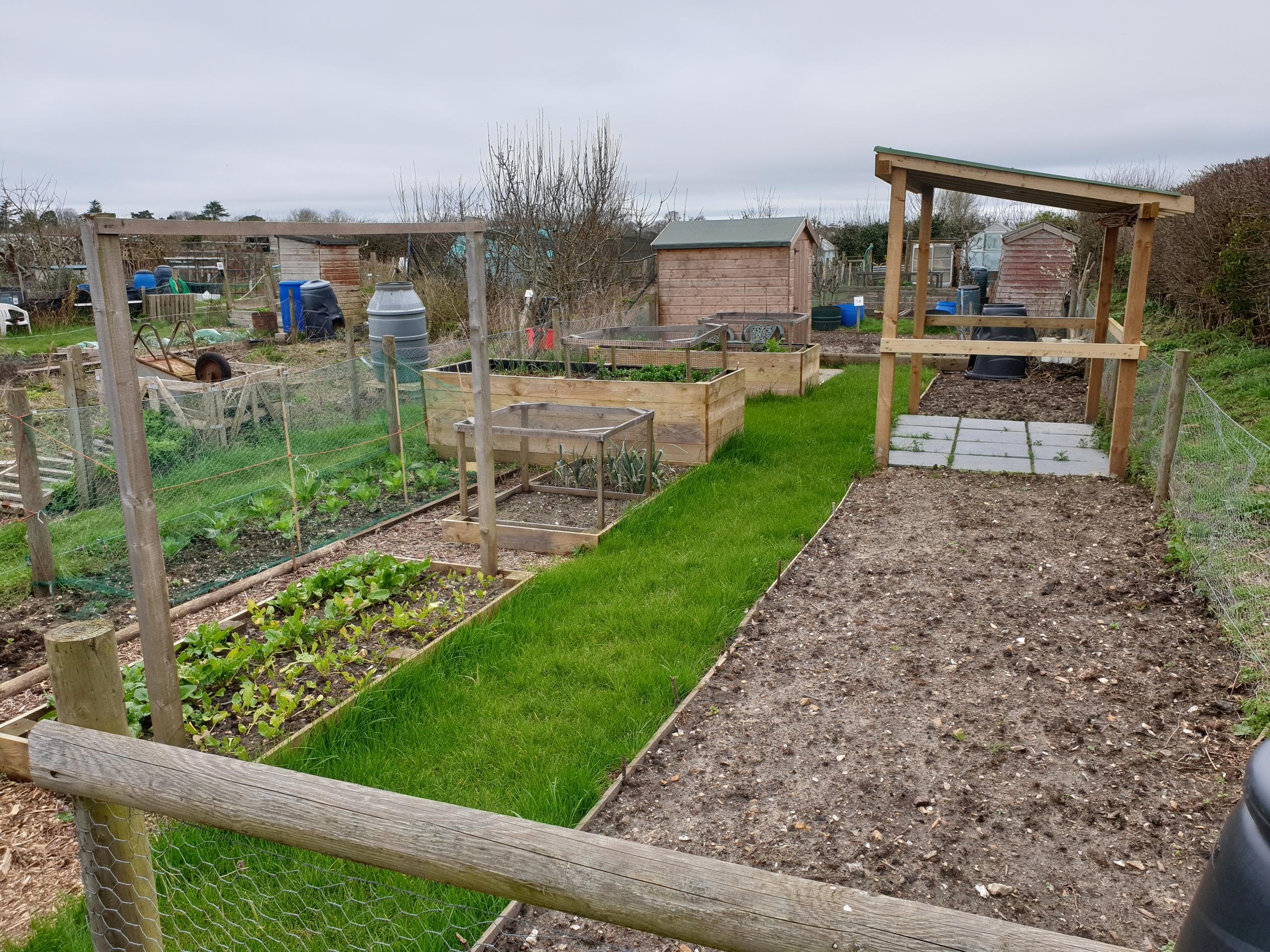 The Allotment